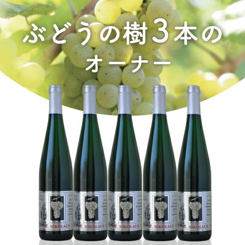 2025年度予約開始】ぶどうの樹3本のオーナー 2025年に実るブドウで