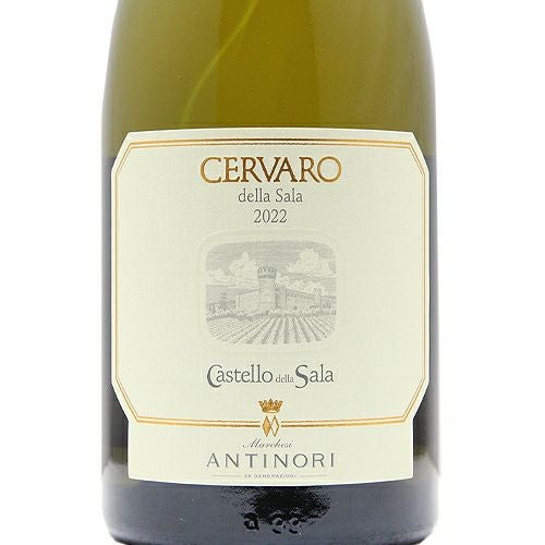 ウンブリアの「モンラッシェ」!? チェルヴァロ デラ サラ 2023